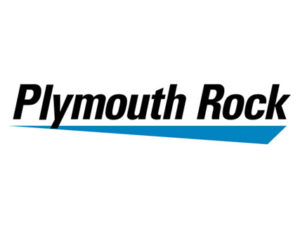 ply mouth
