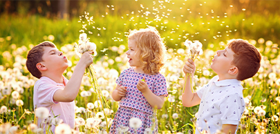 Life Insurance - howeins.com