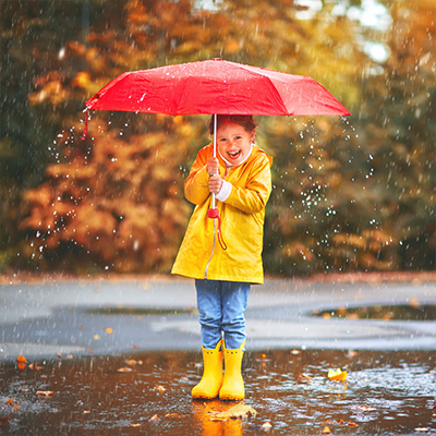 Umbrella Insurance